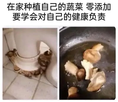 图片上方配有文字'在家种植自己的蔬菜 零添加 要学会对自己的健康负责'，下方分为左右两图。左图显示马桶底座周围长出了一圈蘑菇，右图则是这些蘑菇被放入锅中翻炒的场景。通过将本应在卫生环境中种植的蔬菜与马桶这一不卫生场景结合，形成幽默讽刺效果，调侃了某些不切实际的'家庭健康种植'理念。