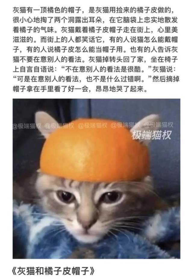 《灰猫和橘子皮帽子》
