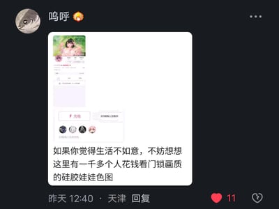 这是一条社交平台的回复内容，用户「呜呼」发布了一张B站创作者充电页面的截图，截图显示有1035人为该创作者充电支持。配文用戏谑的语气调侃：「如果你觉得生活不如意，不妨想想这里有一千多个人花钱看门锁画质的硅胶娃娃色图」，通过这种反差感的搞笑内容，来安慰生活不如意的人，消解负面情绪。整体风格轻松搞笑，没有双关、谐音梗或暗示内容。