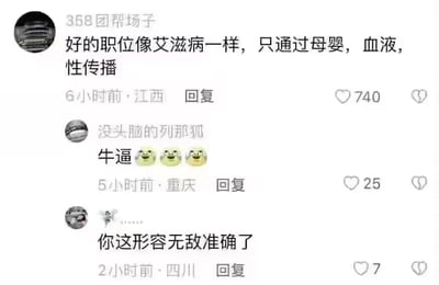 这是一张来自短视频平台评论区的静态截图，展示了三条用户评论。第一条评论由用户“368团帮场子”发布，来自江西，发布于6小时前，该评论用极具冲击力的比喻，将优质职位的获取渠道类比为艾滋病的传播途径，暗指好的职位往往只能通过家族传承、利益绑定、不正当关系这类非公开公平的方式获得，而非凭借个人能力通过常规招聘渠道获取，这条评论获得了740个点赞；第二条评论由用户“没头脑的列那狐”发布，来自重庆，发布于5小时前，内容为“牛逼”并搭配三个哭笑不得的表情，表达对第一条评论的认同，获得25个点赞；第三条评论由一位未显示完整用户名的用户发布，来自四川，发布于2小时前，内容为“你这形容无敌准确了”，同样表达对第一条评论的认可，获得7个点赞。整体内容是网友对职场中优质职位获取存在不公平现象的尖锐吐槽。
