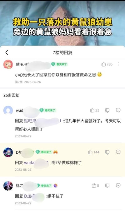 这是百度贴吧的评论区截图，顶部主题为救助落水的黄鼠狼幼崽，黄鼠狼妈妈在旁着急。7楼网友玩梗调侃“小心她长大了回家找你以身相许报答救命之恩”，随后楼中楼回复逐渐歪楼：有网友说长大可以帮好心人暖脚，立刻被接梗调侃是“给做成棉拖了”，最后有网友表示“绷不住了”。整个评论区从温情报恩的方向逐渐跑偏，充满了网友的趣味整活，笑点密集。