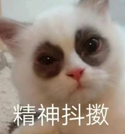 这是一张文字加注的静态表情包，主体是一只布偶猫，它眼部周围的深色毛发形成了类似黑眼圈的效果，眼神倦怠，神态看起来十分疲惫。但图片下方却配有白色的“精神抖擞”字样，与猫咪的状态形成强烈的反差感，用反讽的方式，精准地表达出人们在熬夜、劳累后，不得不强撑着打起精神的状态，常用于职场、学习等场景中调侃自己或他人的疲惫处境。