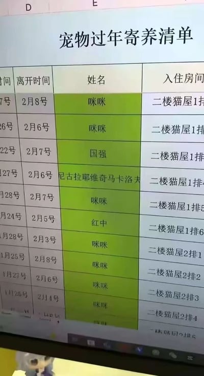 一张宠物过年寄养清单的截图，表格中大部分宠物名字都是常见的中文名字如"咪咪"、"国强"、"红中"等，但其中混入了一个非常显眼的俄罗斯风格名字"尼古拉耶维奇马卡洛夫"，形成了有趣的反差萌效果。表格包含入住时间、离开时间、宠物姓名和入住房间等信息，显示大部分宠物都住在二楼猫屋区域。