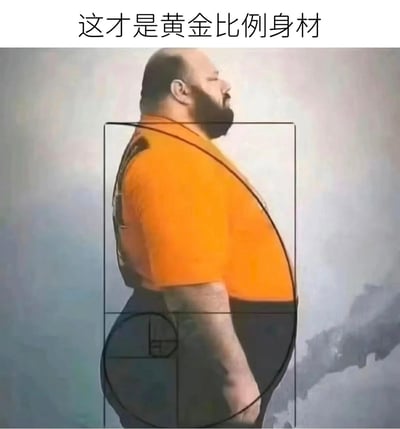 图片展示了一位身材肥胖的男性侧身站立，他穿着橙色上衣和深色裤子，头部微微上扬。图片上方配有文字'这才是黄金比例身材'，人物身体上被人为添加了黑色的黄金比例分割线和螺旋线，形成幽默的视觉效果。这张图片通过将传统审美中的'黄金比例身材'概念应用到肥胖体型上，制造出强烈的反差和喜剧效果，属于自嘲式幽默。