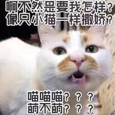 图片主体是一只白色带有橘色斑纹的猫咪，它嘴巴微张，眼睛睁大向上看，表情呈现出惊讶又带点疑惑的样子。图片上方配有文字“啊不然是要我怎样？像只小猫一样撒娇？”，下方配有“喵喵喵？？？萌不萌？？？”。整体通过猫咪拟人化的表情和文字结合，营造出一种傲娇又俏皮的氛围，仿佛猫咪在反问对方是否要自己撒娇，并以“喵喵喵”的叫声和“萌不萌”的疑问来增强这种可爱又带点小脾气的感觉。