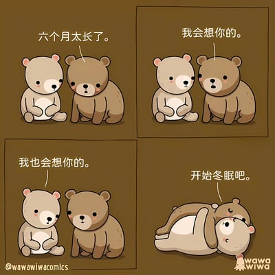 这是一组四格连环漫画，主角为两只卡通小熊（一只棕熊和一只浅棕熊）。第一格中棕熊低头说“六个月太长了。”，表情略带失落；第二格棕熊看向浅棕熊，认真说道“我会想你的。”；第三格浅棕熊温柔回应“我也会想你的。”；第四格棕熊躺下，对依偎在旁的浅棕熊说“开始冬眠吧。”。整体画面以棕色为背景，风格可爱温馨，展现了小熊们冬眠前的不舍与深厚友情。