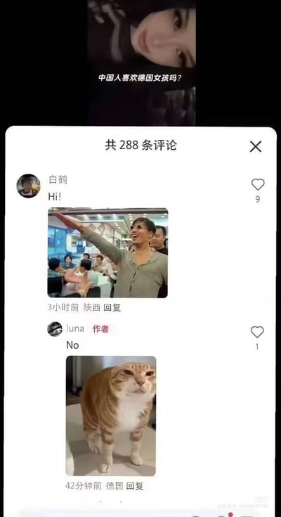 社交媒体评论区截图，上方显示问题“中国人喜欢德国女孩吗？”，下方显示共288条评论。第一条评论来自用户“白鹤”，内容为“Hi!”并附带一张餐厅内一位女士伸手比划的照片，评论时间为3小时前，来自陕西，获9个赞。作者“luna”回复“No”并附带一张橘猫站立的照片，评论时间为42分钟前，来自德国，获1个赞。