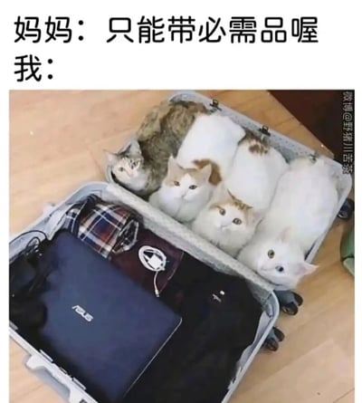 这是一张充满趣味的图文梗图，上方以对话形式呈现妈妈的叮嘱：“只能带必需品喔”，下方的“我”则用实际行动回应——打开的行李箱下层摆放着华硕笔记本电脑、折叠的衣物、耳机等出行物品，上层则整整齐齐躺着四只猫咪，其中一只是狸花猫，另外三只是白猫，它们都睁着圆溜溜的眼睛看向镜头，模样软萌可爱。这张图通过将猫咪归为“必需品”的反差感，生动展现了铲屎官对宠物的深厚喜爱，把宠物当作生活中不可或缺的一部分，搞笑又暖心。