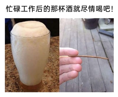这是一张左右拼接的对比类梗图，顶部配有文字“忙碌工作后的那杯酒就尽情喝吧！”。左侧画面中，一个啤酒杯里几乎全是浓密的泡沫，仅在杯底能看到薄薄一层酒液，视觉上营造出“满杯酒”的假象；右侧画面是一只手握着一根细小的树枝。这张图通过视觉反差和隐含的自嘲感，讽刺了职场人在忙碌工作后想要通过喝酒放松，实际却只能获得极少的“慰藉”的无奈处境，用夸张的方式抒发打工人的压力与小失落，是一种对职场日常的幽默吐槽。
