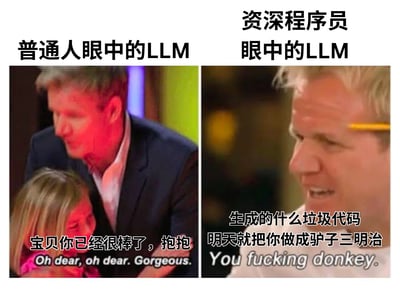 这是一张左右对比图，展示了普通人和资深程序员对LLM（大型语言模型）的不同看法。左侧普通人视角中，一位男子温柔地拥抱孩子并说"宝贝你已经很棒了，抱抱"，象征普通人对AI的积极评价；右侧资深程序员视角中，同一位男子表情愤怒，配文"生成的什么垃圾代码 明天就把你做成驴子三明治"，幽默地表现了程序员对AI生成代码质量的不满和调侃。
