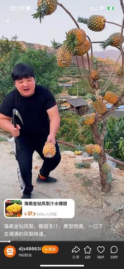 这是一张抖音平台的直播带货短视频截图，画面中一名黑衣男子手持小镰刀，另一只手拿着一颗成熟的凤梨，身旁的“树木”上密密麻麻挂满了凤梨，地面也散落着几颗，这是通过图片合成技术伪造的场景，因为凤梨实际是草本植物，并不会长在木本树上。画面下方附带了“海南金钻凤梨”的商品推广卡片，标注价格为37.9元，已有400+人付款，商品文案描述其“脆甜多汁，果型饱满，一口下去满满的凤梨味道”。截图底部展示了发布账号的信息：账号ID为d[s486638]，拥有1182粉丝，该内容的互动数据为分享620、收藏1869、点赞3249。这张图通过制造违背常识的新奇种植场景，以此为噱头吸引用户关注，进而推广售卖海南金钻凤梨。