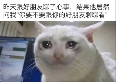 图片上方是一段文字：“昨天跟好朋友聊了心事，结果他居然问我‘你要不要跟你的好朋友聊聊看’”，描述了向好友倾诉却得到令人困惑回应的社交场景。下方是一只白色猫咪的特写，猫咪有着大大的、略带湿润的眼睛，表情看起来既困惑又有些委屈，完美呼应了文字中那种被朋友“反向提问”后的无奈心情。整体通过文字与猫咪表情的结合，展现了日常生活中友人间的小尴尬与趣味互动。