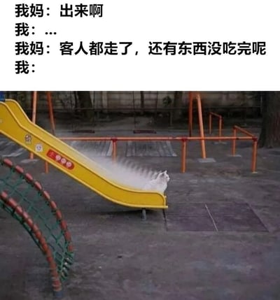 这张梗图上半部分是一段对话，妈妈叫孩子出来，说客人都走了还有东西没吃完。下半部分是一只白猫正飞速滑下滑梯，身后扬起一片灰尘，幽默地表现了听到有剩饭后迅速出现的反应。