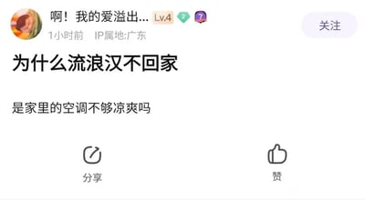 这是一张社交媒体平台的截图，展示了一条用户发布的幽默帖子。发布者昵称是“啊！我的爱溢出...”，等级为Lv.4，IP属地为广东，发布时间标注为1小时前。帖子以“为什么流浪汉不回家”作为标题，正文用一句不符合现实逻辑的话“是家里的空调不够凉爽吗”来提问，通过反差感制造幽默效果——流浪汉通常是没有稳定居所或家庭条件极差的群体，根本不存在“家里有空调”的情况，这句话用荒诞的假设形成反讽，属于典型的网络脑洞调侃段子。对于帖子里的问题，实际情况是流浪汉大多因为没有稳定住所、家庭变故、经济极度困难等原因无法回家，并不存在“家里有空调”的前提。