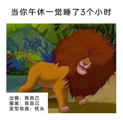 这是一张充满趣味的搞笑梗图，用来调侃人们午休睡太久后的狼狈状态。顶部文字明确场景“当你午休一觉睡了3个小时”，图中使用迪士尼动画《狮子王》里的辛巴形象进行P图改编，将狮子的头部与身体分离，头部呈现出被挤压变形的怪异模样，以此类比人午休时头发被枕头压得乱七八糟的样子。下方配文“出镜：我自己；服装：我自己；发型妆造：枕头”，用幽默的方式精准吐槽睡过头后的形象变化，完美贴合打工人午休后的真实日常，容易引发共鸣。