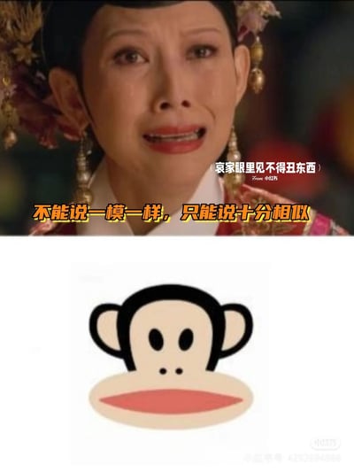 这是一张上下结构的对比类搞笑梗图，上方截取了古装宫斗剧《甄嬛传》中宜修皇后被废时崩溃大哭的经典剧照，皇后眼眶含泪、面部肌肉扭曲、嘴巴张开，呈现出极度悲伤又带点狰狞的神态，旁边配文“哀家眼里见不得丑东西”；下方是美国潮牌Paul Frank的标志性大嘴猴卡通头像，两者之间配文“不能说一模一样，只能说十分相似”，通过将皇后此刻的神态与大嘴猴的形象进行对比，利用撞脸的反差感制造出强烈的搞笑效果，属于网友创作的玩梗表情包。
