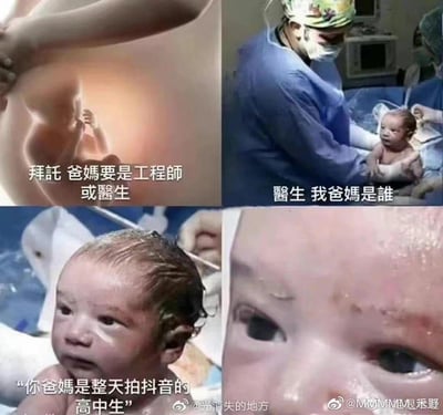 这是一组四格连环拼贴梗图，通过递进的剧情制造强烈反差来实现搞笑效果：
1. 第一格是子宫中的胎儿，配文表达了对父母职业的期待：“拜託 爸媽要是工程師或醫生”；
2. 第二格是刚出生的新生儿被医生抱着，配文是宝宝的提问：“醫生 我爸媽是誰”；
3. 第三格是新生儿特写，配文是医生的回答：“你爸媽是整天拍抖音的高中生”，给出了和胎儿期待完全相反的结果；
4. 第四格是宝宝崩溃的脸部特写，强化了梦想破灭的搞笑反差。
整图没有双关或谐音梗，完全依靠剧情的反转制造笑点。
