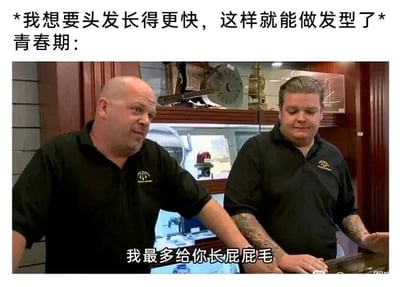 这是一张经过文字改编的搞笑梗图，上方标注了用户的诉求：“我想要头发长得更快，这样就能做发型了”，并以“青春期：”引出下方的内容。下方是美国真人秀《典当之星》的画面截图，图中左侧光头男性的台词被改为“我最多给你长屁屁毛”，用幽默反差的方式吐槽青春期身体毛发生长的“错位”现象——很多人在青春期渴望头发快速变长以打造心仪的发型，但身体却优先生长其他部位的毛发，比如屁屁毛，精准戳中了部分人在青春期的类似烦恼，用戏谑的方式消解了这种无奈感。