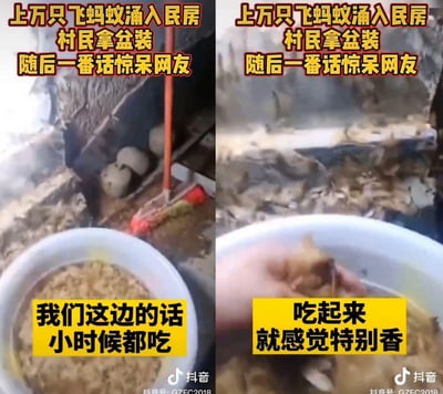图片为左右拼接的视频截图，左侧和右侧画面均展示了一间较为简陋的室内场景，地面和墙角聚集了大量飞蚂蚁，一只白色塑料盆放在地上用于收集这些飞蚂蚁。上方有醒目的橙黄色文字标题：“上万只飞蚂蚁涌入民房 村民拿盆装 随后一番话惊呆网友”。左侧画面底部黄色文字框内写着“我们这边的话小时候都吃”，右侧画面底部黄色文字框内写着“吃起来就感觉特别香”，揭示了村民收集飞蚂蚁是为了食用，这一行为让网友感到惊讶。