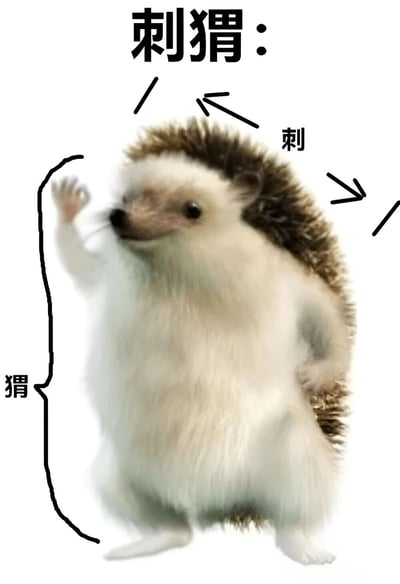 一张刺猬的图片，图片中的刺猬站立着，一只爪子抬起。图片上有文字标注，顶部写着'刺猬:'，并用箭头分别指向刺猬背部的刺标注'刺'，指向刺猬身体标注'猬'。