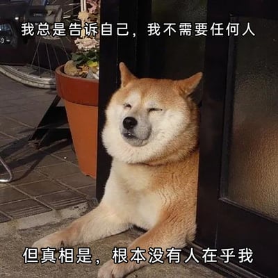 这是一张静态表情包图片，主体是一只棕白相间的柴犬，它趴在户外的门与地面的缝隙处，双眼眯起，嘴角下垂，神情落寞却又强装出无所谓的样子。图片上方配有文字“我总是告诉自己，我不需要任何人”，下方配有文字“但真相是，根本没有人在乎我”，以嘴硬又自嘲的方式，精准戳中了很多人在孤独时刻的内心状态——明明渴望被在乎，却假装自己不需要别人，用看似洒脱的外表掩盖内心的落寞，适合用来表达个人独处时的孤独感与自嘲情绪。