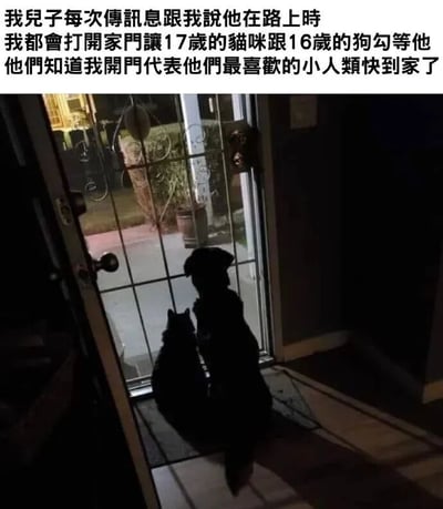 图片上方配有文字说明：“我兒子每次傳訊息跟我說他在路上時 我都會打開家門讓17歲的貓咪跟16歲的狗勾等他 他們知道我開門代表他們最喜歡的小人類快到家了”。下方是一张实拍照片，画面中一只猫和一只狗并排坐在打开的家门前，透过玻璃门向外张望，似乎在期待着家人归来。整体场景温馨治愈，展现了宠物与家人之间的深厚情感和日常相处的暖心瞬间。