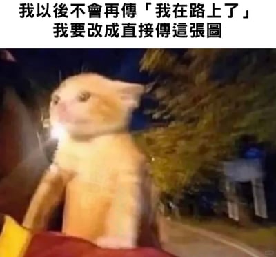 这是一张适配日常社交场景的搞笑梗图，顶部配有文字“我以后不会再传「我在路上了」，我要改成直接传这张图”，图中主体是一只在夜晚户外移动的橘猫，由于移动速度快，画面出现模糊扭曲的效果，猫咪的形态看起来十分匆忙，生动还原了“在路上”的状态。这张图用搞笑具象的画面替代直白的文字告知，更具趣味性，适合在赴约、返程等场景发送给对方，传递自己正在赶路的信息，在社交中增添轻松幽默的氛围。