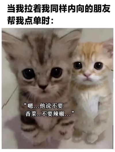 图片上方有文字“当我拉着我同样内向的朋友帮我点单时:”，下方是两只表情无辜的小猫，其中一只配有对白“嗯...他说不要香菜...不要辣椒...”。这张图幽默地表现了两个内向的人互相委托对方做社交活动（点餐）时的尴尬和犹豫，通过可爱的小猫形象放大了这种反差萌。