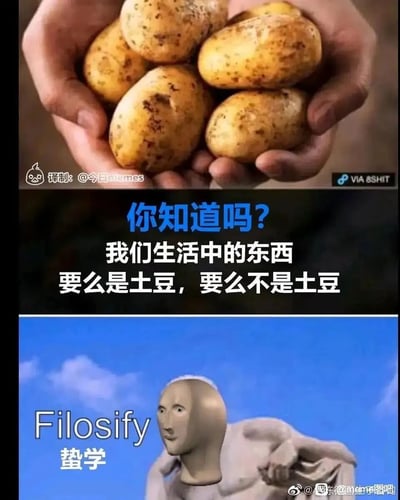 这是一张由三部分拼接而成的搞笑网络梗图：顶部呈现一双手捧着几颗带泥土的新鲜土豆；中间区域以蓝白醒目标题搭配白色正文，写出“你知道吗？我们生活中的东西要么是土豆，要么不是土豆”，用绝对正确却毫无信息量的废话制造荒诞感；底部则是一个3D建模的“蛰学”小人（谐音“哲学”），配文“Filosify 蛰学”，用这个经典的哲学思考meme形象呼应上方的无意义“哲学”言论。整体将废话文学与网络哲学梗结合，通过荒诞的逻辑传递搞笑效果，是本土化改编的国外meme内容。