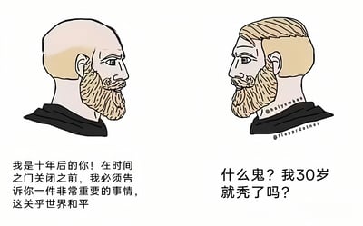 左侧是一位光头、留着络腮胡的男性侧身像，配文称自己是十年后的对方，要在时间之门关闭前告知关乎世界和平的重要事；右侧是同一位男性（但有头发）的侧身像，看到未来的自己后震惊反问“什么鬼？我30岁就秃了吗？”。通过左右对比，用夸张的时间旅行设定制造反差萌，核心笑点在于将“关乎世界和平”的严肃铺垫与“脱发”这一生活化焦虑形成强烈对比。