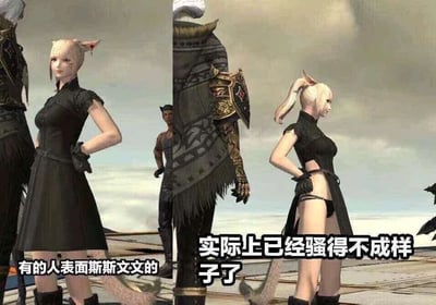 这是一张左右分栏的对比梗图，取材自MMORPG游戏《最终幻想14》中的猫魅族角色。左侧画面中，角色正面示人，穿着保守的黑色连衣裙，双手叉腰，神态端庄平静，配文“有的人表面斯斯文文的”；右侧画面展示角色的背面，连衣裙背后设计极为暴露，仅用少量布料遮挡身体，配文“实际上已经骚得不成样子了”。图片通过角色服装前后的巨大视觉反差，搭配幽默夸张的文案，以调侃的方式讽刺一些人外表看起来端庄得体，内在或私下的表现却截然不同的表里不一状态。