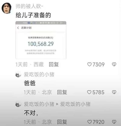 这是一张社交媒体平台的截图，用户“帅的被人砍-”发布了一张显示信用贷款剩余应还总额为100568.29元的还款计划截图，并配文“给儿子准备的”，用黑色幽默的方式调侃将巨额贷款压力“留给”儿子的荒诞感。评论区用户“爱吃饭的小猪”先是回复“爸爸”，配合楼主的玩梗自称儿子，随后又回复“不对，”，留下悬念，引发趣味互动。该内容通过玩梗戳中当代年轻人面对经济压力的共鸣，获得了较高的点赞量。