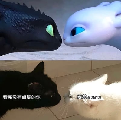 图片分为上下两部分的对比图。上半部分是动画电影《驯龙高手》中的经典场景：黑色的夜煞（没牙仔）和白色的光煞面对面亲密靠近，夜煞绿色的眼睛与光煞蓝色的眼睛相互凝视，画面温馨。下半部分则是两只真实猫咪的照片，一只黑猫和一只白猫以几乎相同的姿势面对面，黑猫旁边配有文字“看完没有点赞的你”，白猫旁边则是“要赞meme”。通过将电影中经典的龙情侣互动场景与现实猫咪的对峙姿态相结合，幽默地模仿了内容创作者向观众索要点赞的场景，形成有趣的反差萌。