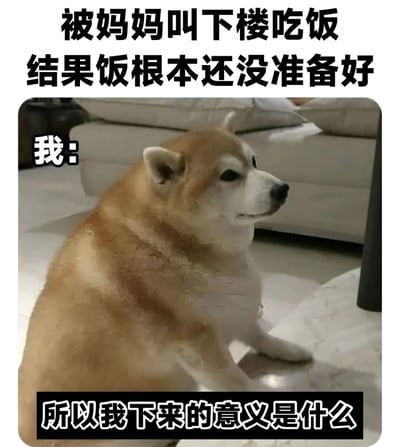 图片上方配有文字“被妈妈叫下楼吃饭 结果饭根本还没准备好”，中间是一只柴犬坐在室内地板上，左侧标注“我:”，底部文字为“所以我下来的意义是什么”。通过柴犬困惑的表情和文字结合，幽默地表达了被家人叫下楼吃饭却发现饭未准备好时的无奈与疑惑情绪。