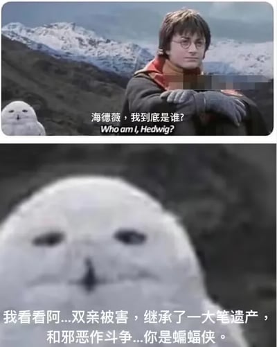 暂无描述