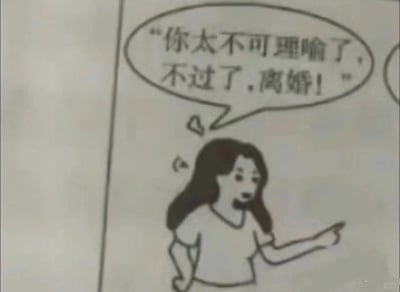这是一幅单格静态手绘卡通插画，画面主体是一位留着深色长发的卡通女性，她身着简约的短袖上衣，面部呈现出愤怒、激动的神情，一只手叉在腰上，另一只手伸出指向侧方，仿佛在对着争吵的对象指责。在她的上方有一个对白气泡，里面写着“你太不可理喻了，不过了，离婚！”，直白地展现出她在与伴侣发生激烈争吵时，情绪爆发提出离婚的状态，精准传递出夫妻间矛盾激化的冲突感。