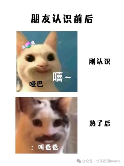这是一张上下对比的梗图，主题为“朋友认识前后”。上图是一只戴着彩色糖果发卡的浅色猫，背景为蓝色，猫脸表情腼腆，配文“哑巴 嘻~”，右侧标注“刚认识”，展现初识时的拘谨害羞；下图是一只黑白花色的猫，脸上被P上了小胡子，表情嚣张，配文“: 叫爸爸”，右侧标注“熟了后”，呈现熟悉后的放飞自我。通过两只猫的表情和配文反差，幽默调侃了朋友间从陌生到熟悉的相处模式变化。