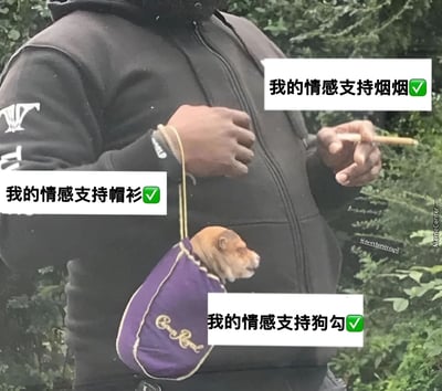 图片中一名穿着黑色连帽衫的人站在绿色植物背景前，左手拿着一根香烟，右手提着一个紫色小包，包中伸出一个小狗的头。图片上有三个白色文字气泡，分别标注着"我的情感支持帽衫✅"、"我的情感支持烟烟✅"和"我的情感支持狗勾✅"，幽默地将日常物品和宠物称为自己的情感支持来源。