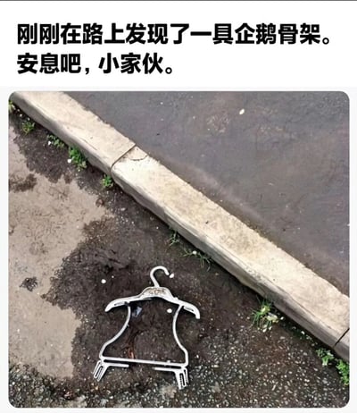 这张梗图上方配有文字'刚刚在路上发现了一具企鹅骨架。安息吧，小家伙。'，下方图片显示一个白色塑料衣架躺在路边的泥地上，其形状被幽默地比作企鹅骨架，制造出搞笑的视觉效果和反差感。