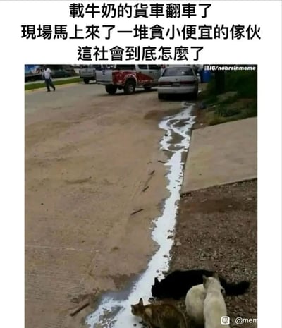 这是一张反差感拉满的搞笑梗图，上方配文先用“载牛奶的货车翻车，现场来了一堆贪小便宜的家伙，这社会到底怎么了”的吐槽制造悬念，让读者先入为主以为是人类哄抢洒落的牛奶，而图片主体则展示了几只猫咪正低头专注地舔舐从路面流到路边的白色液体，将猫咪的正常进食行为调侃成“贪小便宜”，用这种预期违背的方式制造幽默效果。背景中可以看到普通的街道场景，有停放的车辆和一名路过的行人，进一步增强了场景的真实感。