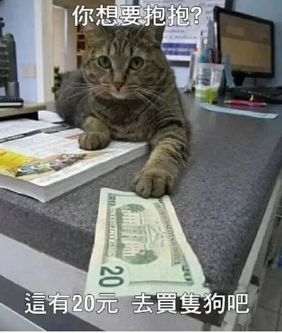 这张图片是一只猫趴在台面上，爪子下压着一张20美元钞票。猫咪表情冷静高傲，上方配字“你想要抱抱？”，下方配字“這有20元 去買隻狗吧”，表现了猫的高冷、不粘人特点。梗点在于猫将20美元“打发”人的举动拟人化，语气幽默又带有傲娇效果。