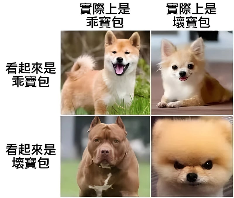 比特犬