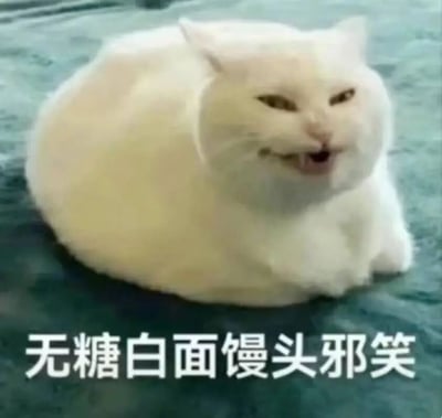 一只通体雪白的胖猫蜷缩在蓝色布面上，身体圆滚滚像个蓬松的馒头，嘴巴咧开露出牙齿，眼神带着一丝狡黠，仿佛在坏笑。图片底部配有文字'无糖白面馒头邪笑'，用馒头比喻猫咪的雪白和圆润外形，形成可爱又搞笑的反差萌。
