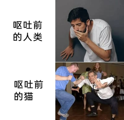 这是一张左右对比风格的搞笑梗图，左侧为文字说明，右侧为两张对比照片。上半部分标题为“呕吐前的人类”，配图是一名穿着白色T恤的男子，单手捂嘴，身体前倾，表情痛苦，呈现出即将呕吐的生理反应；下半部分标题为“呕吐前的猫”，配图是一张场景混乱的照片，几名男女在室内空间中做出夸张、激烈的肢体动作，模拟猫咪在呕吐前常出现的短暂性兴奋、疯跑等“ zoomies ”行为。通过人类的痛苦隐忍与猫咪的狂放不羁形成鲜明反差，以幽默方式调侃两种生物在相似生理反应前的不同表现。