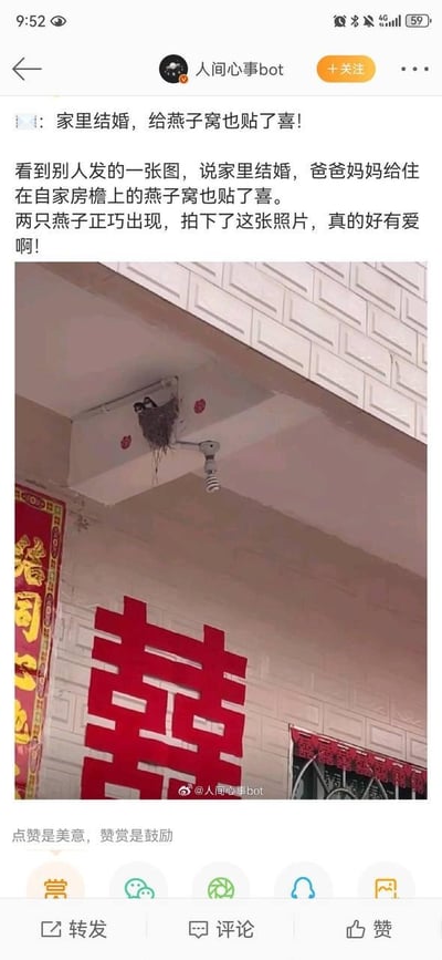 这是一张微博平台的截图内容，截图中展示了博主@人间心事bot分享的温馨生活场景：某家庭举办婚礼时，不仅在墙面贴上了大大的红色双喜字，还贴心地在房檐下的燕子窝两侧贴上了小喜字，两只燕子正巧飞回窝边，与喜庆的婚礼布置同框，画面充满了温暖的烟火气。博主配文表达了对这个有爱细节的感慨，称这是网友分享的照片，传递出家人对小生命的温柔与婚礼的喜庆氛围，截图底部还带有微博的互动按钮与账号水印。