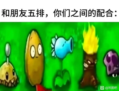 这是一张用来调侃和朋友多人开黑（五排）时配合混乱、完全没有协同效果的搞笑梗图。图上方的文字“和朋友五排，你们之间的配合：”直接点出主题，下方选用了《植物大战僵尸》里的五款植物，从左到右分别是土豆地雷、变身状态的坚果、寒冰射手、火炬树桩、胆小菇。这些植物在原游戏里的功能完全无法形成有效配合：土豆地雷是埋在地下等待触发的防御植物，变身的坚果脱离了原本的防御定位，寒冰射手的冰属性子弹经过火炬树桩会被抵消效果变成普通子弹，胆小菇则会在僵尸靠近时缩起无法攻击，这种完全矛盾、各自为战的植物组合，精准对应了五排开黑时队友们各玩各的、配合稀碎的搞笑场景，用游戏内的不合理搭配来比喻现实开黑的糟糕体验，十分形象有趣。