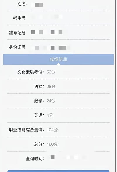 这是一张竖屏的考试成绩查询界面截图，界面中考生的姓名、考生号、准考证号、身份证号等个人信息均做了打码处理。成绩信息显示，该考生文化素质考试总分56分，其中语文28分、数学24分、英语仅4分，职业技能综合测试104分，最终总分160分，文化类科目成绩整体偏低，英语分数尤为不理想。