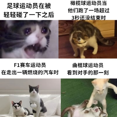 这是一张四格对比梗图，通过猫猫表情包形象展现不同运动员的典型反应。左上格文字为“足球运动员在被轻轻碰了一下之后”，配图是一只眼睛睁大、嘴巴张开露出牙齿的猫，表情夸张仿佛受到极大冲击；右上格文字“橄榄球运动员当他们跑了一场超过3秒还没结束时”，对应一只耳朵竖起、眼神锐利、身体前倾的猫，姿态像在坚持战斗；左下格“F1赛车运动员在走出一辆燃烧的汽车时”，画面是两只黑白猫坐在沙发上，淡定地竖起大拇指，显得从容不迫；右下格“曲棍球运动员看到对手的那一刻”，则是一只白猫站立并用爪子按住另一只躺在地上的猫，动作充满攻击性。整体通过猫咪的神态和动作与运动员的场景形成幽默类比，突出不同运动项目的特点和运动员的典型反应。