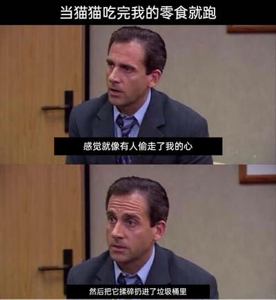 这是一张由美剧《办公室》的人物截图二次创作而成的多图拼接梗图，顶部文字“当猫猫吃完我的零食就跑”设定了场景背景。第一幅图中，人物带着怅然若失的神情，配文“感觉就像有人偷走了我的心”，初步表达内心的失落；第二幅图中人物露出委屈又难过的表情，配文“然后把它揉碎扔进了垃圾桶里”，将这种失落感进一步放大，用夸张的情绪类比，生动地展现了宠物主人在猫咪吃完自己的零食后就立刻离开时，那种无奈又心碎的复杂心情，既搞笑又能引发养猫人群的强烈共情。