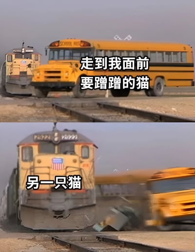 图片为上下对比的两格视频截图。上格中一辆黄色校车停在铁轨上，画面平静，配文“走到我面前要蹭蹭的猫”；下格中火车与校车发生碰撞，画面模糊动感，配文“另一只猫”。通过校车（温顺蹭蹭的猫）与火车（具有冲击力的另一只猫）的碰撞场景，幽默对比猫咪不同的行为模式，营造反差笑点。